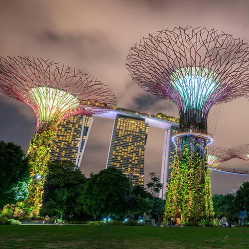 Singapore Night Skyline at Gardens by the Bay